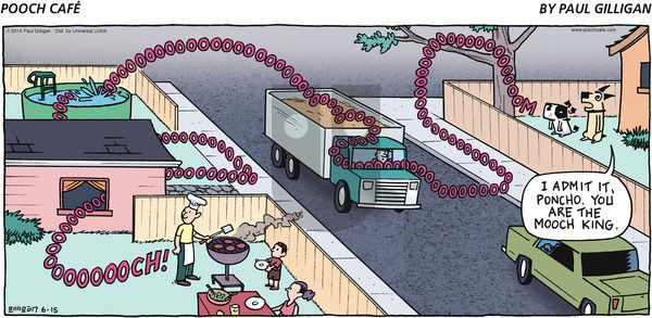 Pooch Cafe - Sunday June 15, 2014 Comic Strip