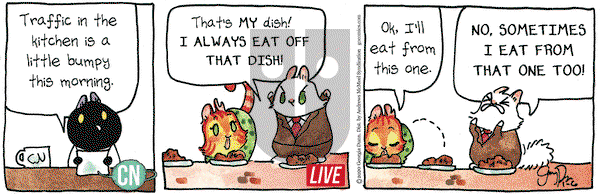 Breaking Cat News on Monday January 6, 2020 Comic Strip