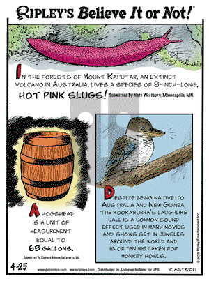 Ripley's Believe It or Not on Friday April 25, 2025 Comic Strip