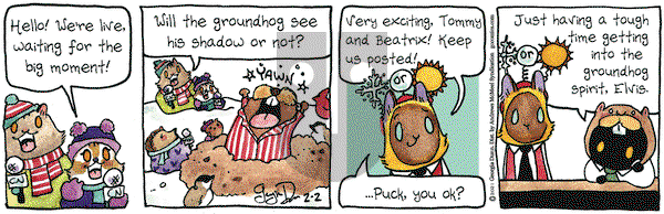 Breaking Cat News on Tuesday February 2, 2021 Comic Strip