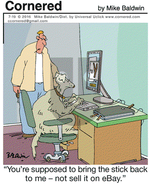 Cornered on Tuesday July 19, 2016 Comic Strip