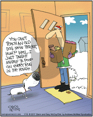 The Flying McCoys on Thursday January 19, 2017 Comic Strip