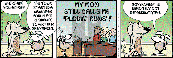 DeFlocked on Thursday February 6, 2025 Comic Strip