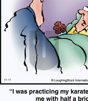 Herman - Thursday November 11, 2010 Comic Strip