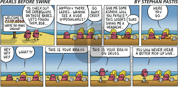 Pearls Before Swine on Sunday December 9, 2007 Comic Strip