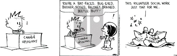 Calvin and Hobbes - Wednesday May 26, 1993 Comic Strip
