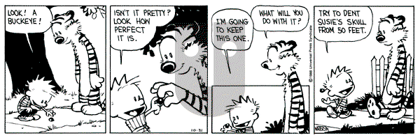 Calvin and Hobbes on Monday October 31, 1988 Comic Strip