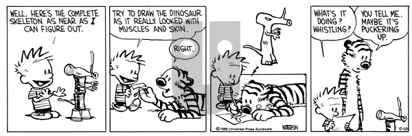 Calvin and Hobbes on Tuesday May 10, 1988 Comic Strip