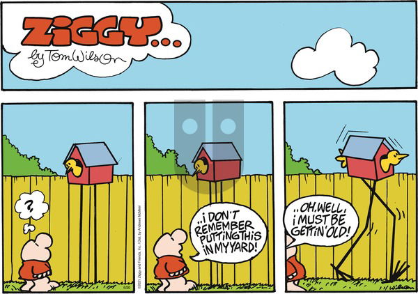 Ziggy on Sunday June 20, 2021 Comic Strip