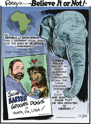 Ripley's Believe It or Not on Monday November 24, 2008 Comic Strip