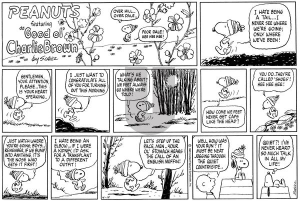 Peanuts on Sunday April 19, 1981 Comic Strip