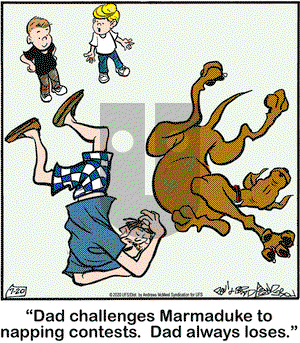 Marmaduke on Monday July 20, 2020 Comic Strip