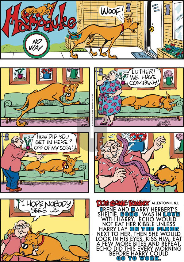 Marmaduke on Sunday April 19, 2020 Comic Strip