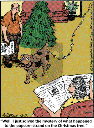 Close to Home on Saturday December 31, 2016 Comic Strip