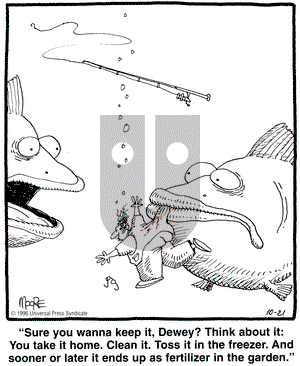 In the Bleachers on Sunday March 29, 1998 Comic Strip