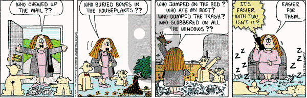 Cathy Classics - Tuesday March 13, 2001 Comic Strip
