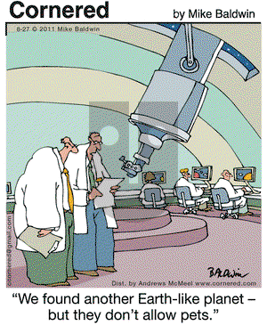 Cornered on Tuesday August 27, 2019 Comic Strip