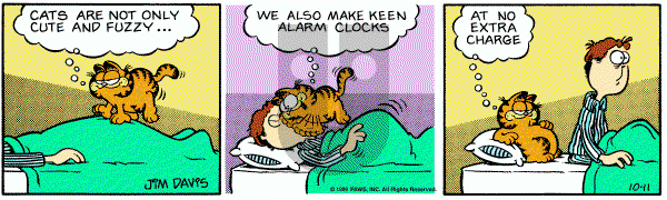 Garfield on Saturday October 11, 1980 Comic Strip