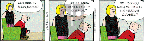 The Born Loser on Friday May 14, 2010 Comic Strip