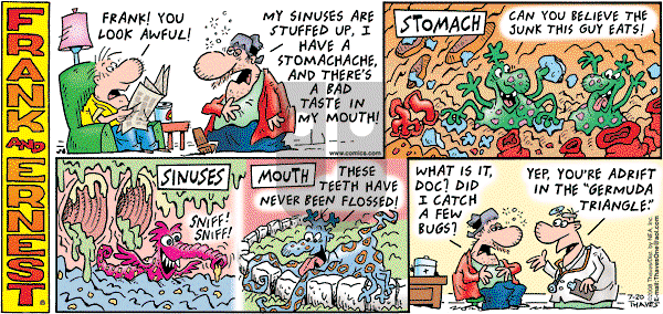 Frank and Ernest on Sunday July 20, 2008 Comic Strip