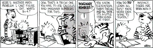 Calvin and Hobbes - Wednesday January 6, 1988 Comic Strip
