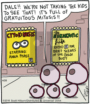 The Argyle Sweater on Tuesday April 26, 2016 Comic Strip