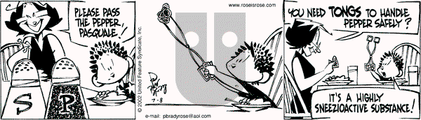 Rose is Rose on Monday July 8, 2002 Comic Strip