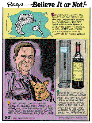 Ripley's Believe It or Not on Friday May 21, 2021 Comic Strip