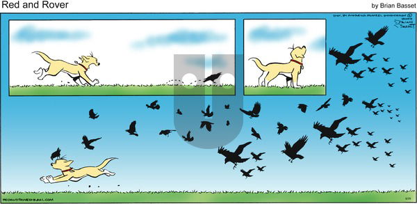 Red and Rover on Sunday June 29, 2025 Comic Strip