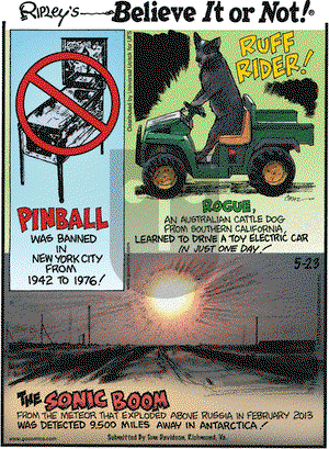 Ripley's Believe It or Not on Thursday May 23, 2013 Comic Strip