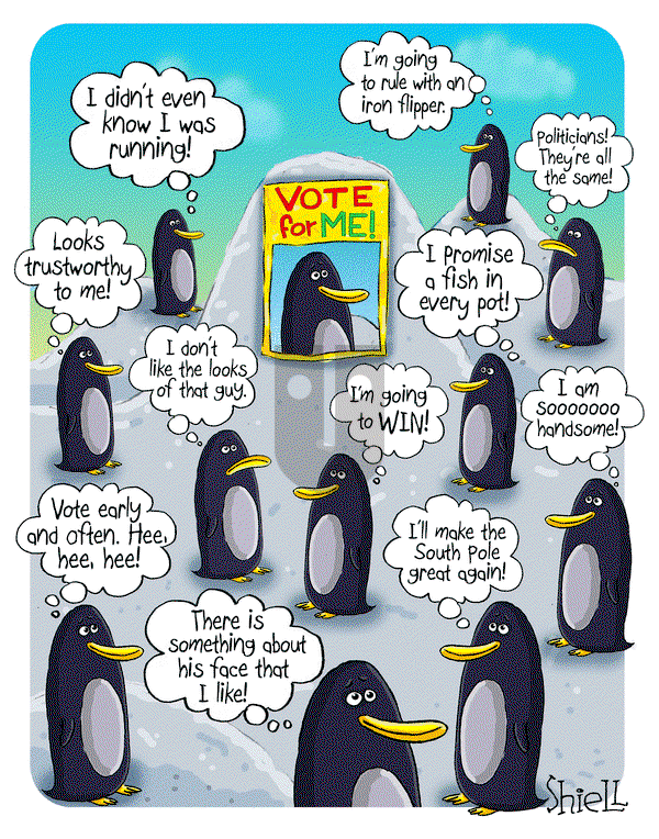 The Wandering Melon on Saturday December 30, 2023 Comic Strip
