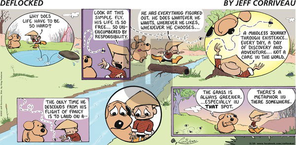 DeFlocked on Sunday May 20, 2012 Comic Strip