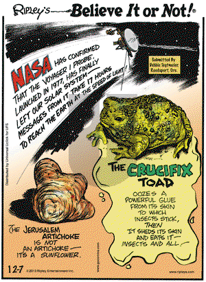 Ripley's Believe It or Not on Saturday December 7, 2013 Comic Strip