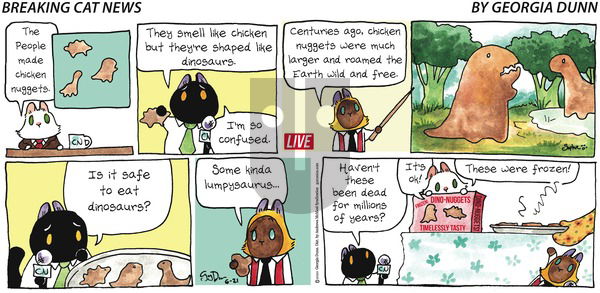 Breaking Cat News on Sunday June 21, 2020 Comic Strip
