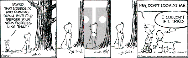 Red and Rover on Friday November 14, 2008 Comic Strip