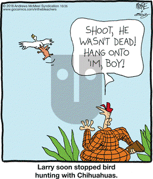 In the Bleachers on Friday October 26, 2018 Comic Strip