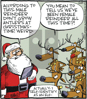 Reality Check on Monday December 23, 2019 Comic Strip