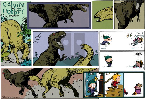 Calvin and Hobbes on Sunday January 24, 1993 Comic Strip