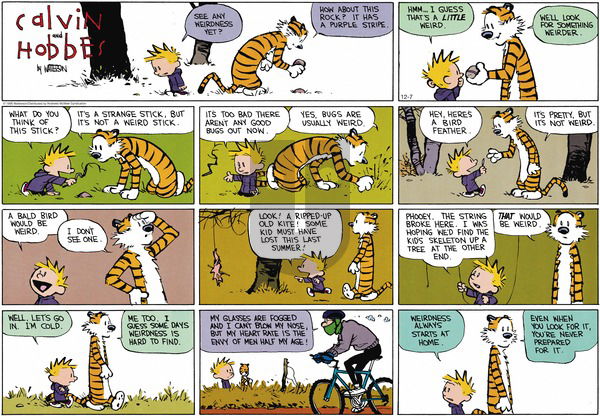 Calvin and Hobbes on Sunday December 7, 2025 Comic Strip