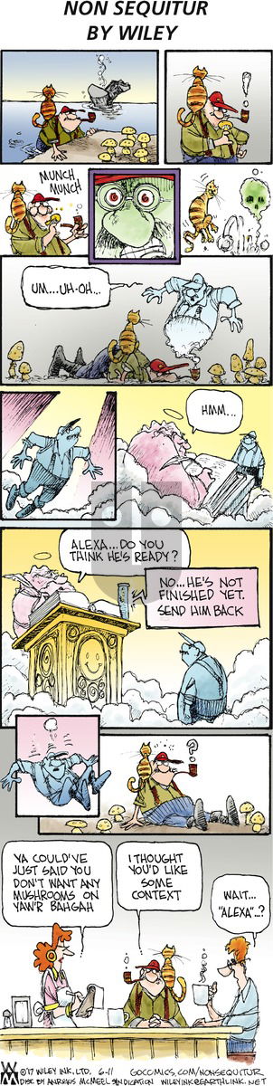 Non Sequitur on Sunday June 11, 2017 Comic Strip