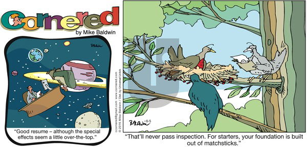 Cornered on Sunday June 5, 2016 Comic Strip