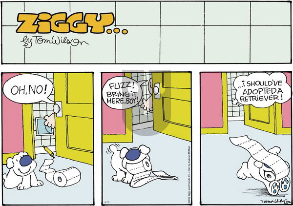 Ziggy on Sunday September 15, 2019 Comic Strip