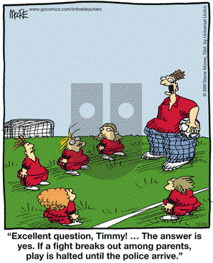 In the Bleachers on Thursday December 29, 2011 Comic Strip