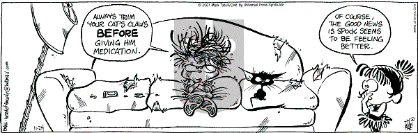 Heart of the City on Saturday November 24, 2001 Comic Strip
