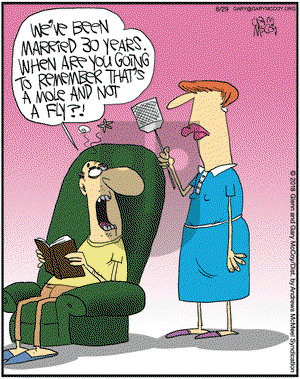 The Flying McCoys on Friday June 29, 2018 Comic Strip