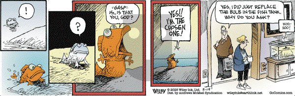 Non Sequitur on Wednesday March 19, 2025 Comic Strip