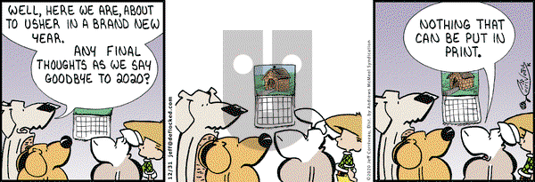 DeFlocked on Thursday December 31, 2020 Comic Strip
