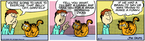 Garfield on Thursday May 17, 1979 Comic Strip