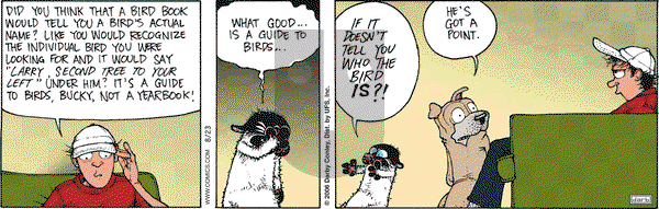 Get Fuzzy on Wednesday August 23, 2006 Comic Strip