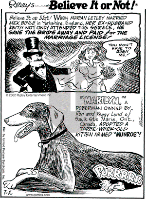 Ripley's Believe It or Not on Tuesday July 2, 2002 Comic Strip